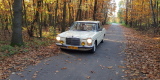Zabytkowe auto do ślubu - Mercedes W115 | Auto do ślubu Bieruń, śląskie - zdjęcie 5