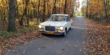 Zabytkowe auto do ślubu - Mercedes W115, Bieruń - zdjęcie 5