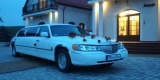 Biały Lincoln Town Car | Auto do ślubu Rypin, kujawsko-pomorskie - zdjęcie 6