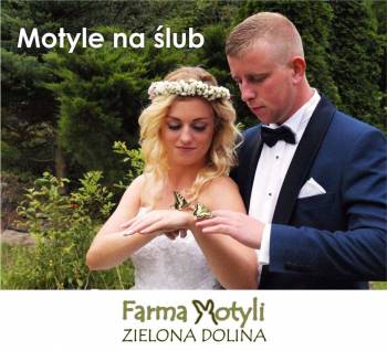 Farma Motyli Zielona Dolina - motyle do ślubu, Unikatowe atrakcje Gdańsk
