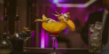 The King of Cocktails mobilny bar | Barman na wesele Tarnów, małopolskie - zdjęcie 8