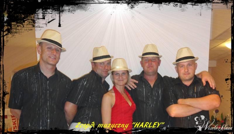 Zespół muzyczny HARLEY | Zespół muzyczny Osieczna, wielkopolskie - zdjęcie 1