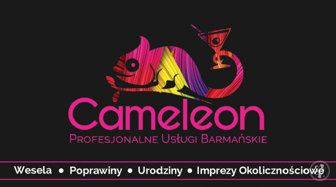 Drink Bar Cameleon | Barman na wesele Wyszków, mazowieckie - zdjęcie 1