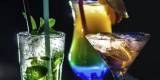 Drink Bar Cameleon | Barman na wesele Wyszków, mazowieckie - zdjęcie 2