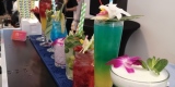 Twist Bar - barmani na wesele/ usługi barmańskie/ drink bar, Chełm - zdjęcie 3