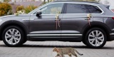 Nietuzinkowo i luksusowo - nowy Volkswagen Touareg do Ślubu | Auto do ślubu Gdańsk, pomorskie - zdjęcie 5