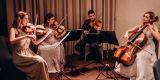 Kwartet smyczkowy na Twój ślub -  Zespół Unicorn String Quartet, Warszawa - zdjęcie 6
