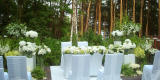 Hotel NARVIL Conference & Spa - designerski nad jeziorem pod Warszawą., Warszawa - zdjęcie 6