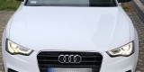 Eleganckie Białe Audi A5 S-Line Do Ślubu | Auto do ślubu Proszowice, małopolskie - zdjęcie 5
