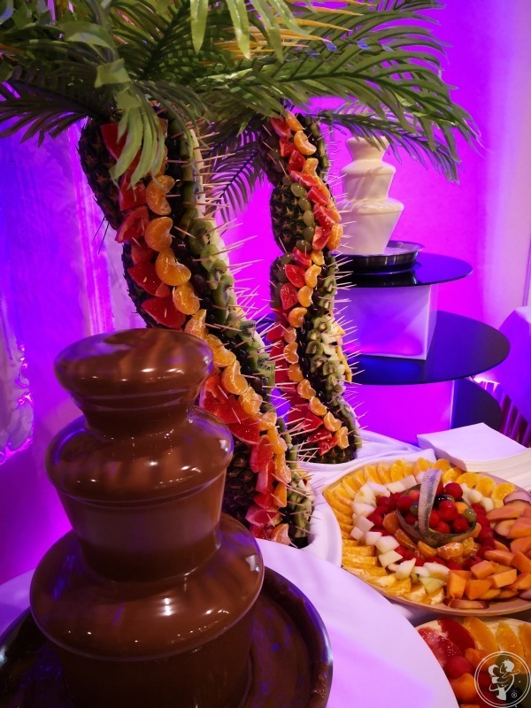 Fontanna czekolady i palma owocowa, Wałbrzych - zdjęcie 1