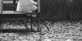 Tarantoga Pracownia Fotograficzna, Toruń - zdjęcie 8