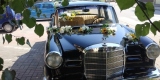 Czarny Mercedes W110 1962 rok | Auto do ślubu Zambrów, podlaskie - zdjęcie 4