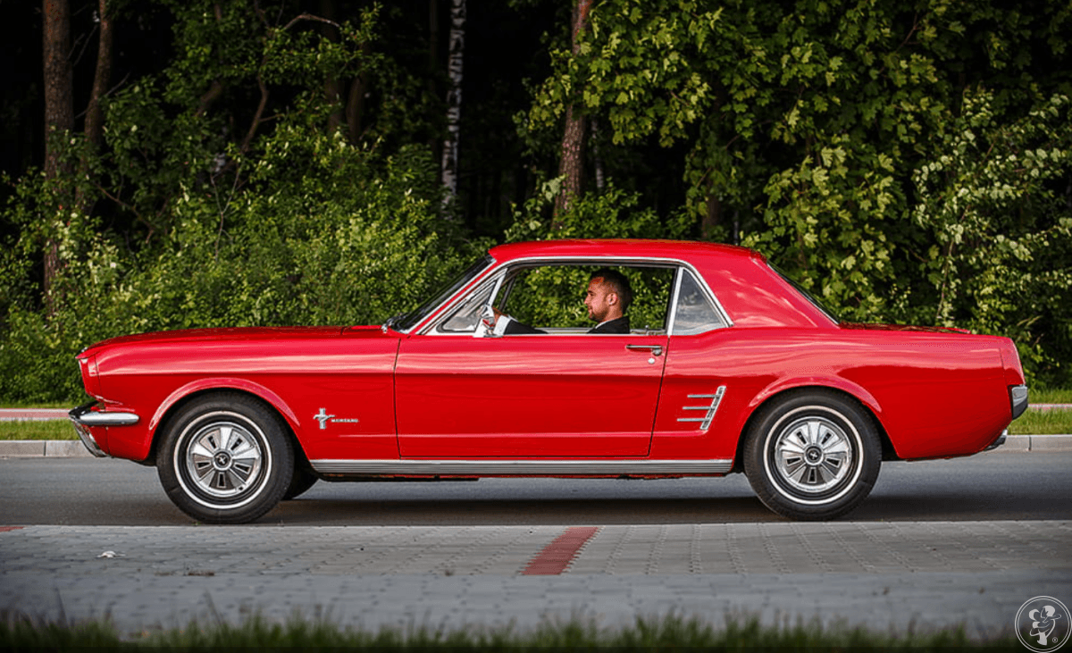 Ford Mustang Cabrio 1966, samochód do wynajęcia | Auto do ślubu Kolbuszowa, podkarpackie - zdjęcie 1