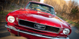 Ford Mustang Cabrio 1966, samochód do wynajęcia | Auto do ślubu Kolbuszowa, podkarpackie - zdjęcie 2