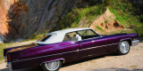 💜 CADILLAC Kabrio do ślubu z 1969-Król amerykańskiej motoryzacj 💜 | Auto do ślubu Kłodzko, dolnośląskie - zdjęcie 2