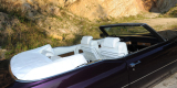 💜 CADILLAC Kabrio do ślubu z 1969-Król amerykańskiej motoryzacj 💜 | Auto do ślubu Kłodzko, dolnośląskie - zdjęcie 3