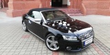 Samochód do ślubu Auto do Ślubu Cabriolet Audi S5, Dąbrowa Górnicza - zdjęcie 6