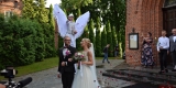 Anioły na szczudłach z ogromnymi skrzydłami, Elbląg - zdjęcie 5