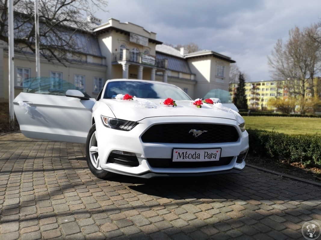 Ford Mustang VI  do ślubu | Auto do ślubu Łódź, łódzkie - zdjęcie 1
