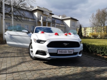 Ford Mustang VI  do ślubu | Auto do ślubu Łódź, łódzkie