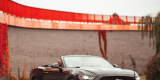 Ford Mustang Cabrio do ślubu. Sam lub z kierowcą!, Gdańsk - zdjęcie 1