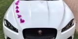 Auto do ślubu  - Jaguar XF R-SPORT, samochód do ślubu, Łomża - zdjęcie 2