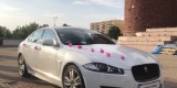 Auto do ślubu  - Jaguar XF R-SPORT, samochód do ślubu | Auto do ślubu Łomża, podlaskie - zdjęcie 3