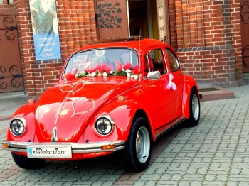 Auto do ślubu VW GARBUS imprezy,urodziny,sesje zdjeciowe, Samochód, auto do ślubu, limuzyna Strzelno