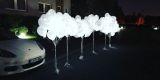 Ciężki dym, Taniec w chmurach, wytwornica ciężkiego dymum balony HELED | Ciężki dym Bytom, śląskie - zdjęcie 3
