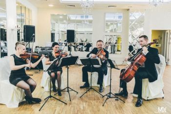 Kwartet smyczkowy INSANO, oferta oprawy muzycznej, Oprawa muzyczna ślubu Włocławek