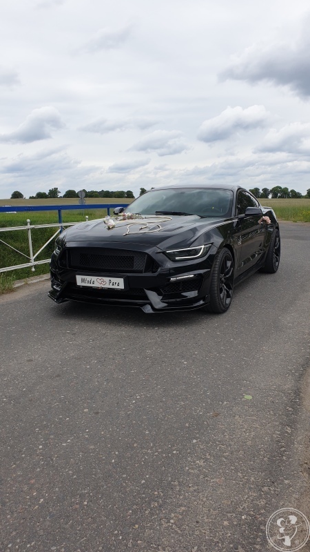 MUSTANG GT 5.0 V8 480KM !! | Auto do ślubu Poznań, wielkopolskie - zdjęcie 1