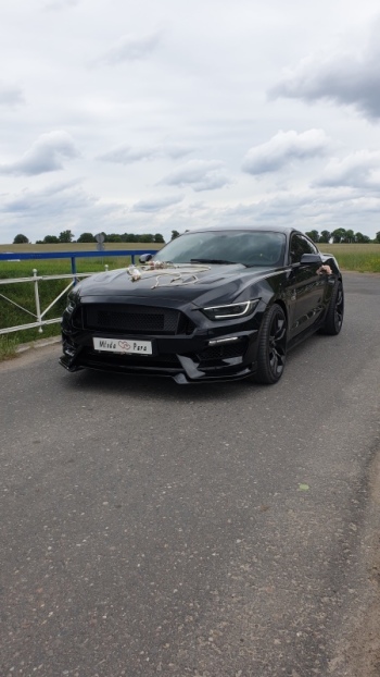 MUSTANG GT 5.0 V8 480KM !! | Auto do ślubu Poznań, wielkopolskie