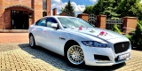 Jaguar XF - Wasz idealny samochód do ślubu - wolne terminy!, Kraków - zdjęcie 3