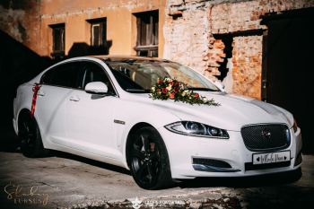 Samochód do ślubu -piękny i elegancki JAGUAR XF - ŚLUBNY LUKSUS | Auto do ślubu Częstochowa, śląskie