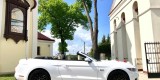 Auto do ślubu MUSTANG GT V8 cabrio AUDI A6 , Mielec - zdjęcie 2