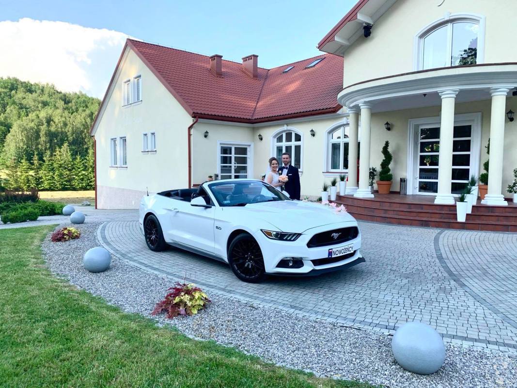 Auto do ślubu MUSTANG GT V8 cabrio AUDI A6 , Mielec - zdjęcie 1