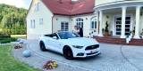 Auto do ślubu MUSTANG cabrio GT AUDI A6 Klasyk Mustang wynajem, Mielec - zdjęcie 5