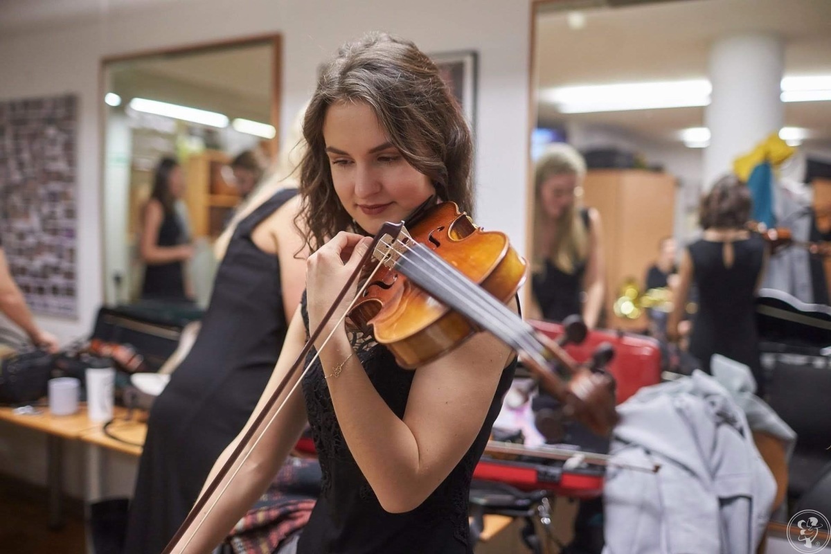 Profesjonalna oprawa muzyczna ceremonii ślubnej, Tarnów - zdjęcie 1