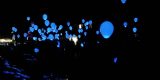 Atrakcje na wesele - Balony z helem na wesele/ świecące balony LED, Rzeszów - zdjęcie 2