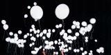 Atrakcje na wesele - Balony z helem na wesele/ świecące balony LED, Rzeszów - zdjęcie 5