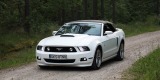 Limuzyna excalibur nestor baron ford mustang shelby cabrio retro, Gdańsk - zdjęcie 6