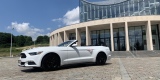 Biały Mustang Cabrio rav4 | Auto do ślubu Gorzów Wielkopolski, lubuskie - zdjęcie 3