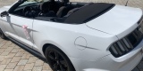 Auto do slubu samochod wesele bialy Mustang cabrio rav4 wolne terminy!, Gorzów Wielkopolski - zdjęcie 4
