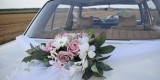 OldGear- Wynajem- Mercedes w114 / Fiat 126p, Kluczbork - zdjęcie 4