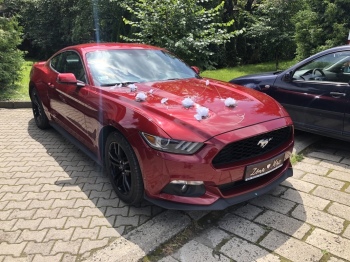 Mustang do ślubu poprowadź Go! | Auto do ślubu Nowy Sącz, małopolskie
