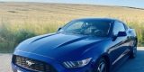Najlepsze Auto o Ślubu ♥️👰🏼🤵🏼Piękne brzmienie | Ford Mustang | Auto do ślubu Bydgoszcz, kujawsko-pomorskie - zdjęcie 2
