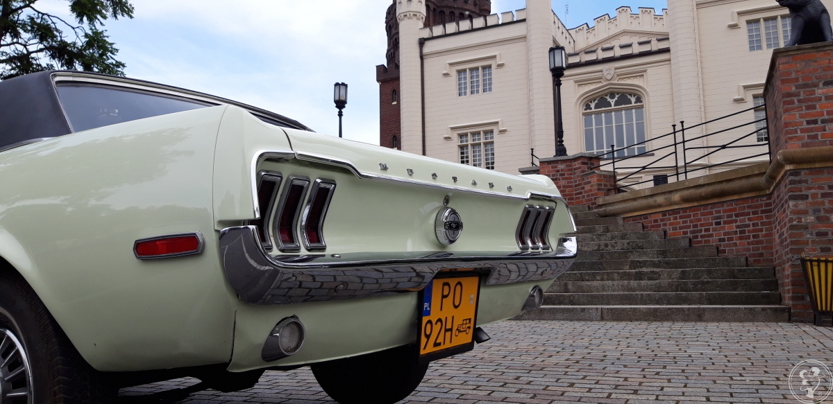 Mustang do ślubu | sam prowadzisz | kremowo-zielony | dużo terminów, Poznań - zdjęcie 1