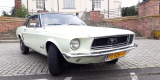 Mustang do ślubu | sam prowadzisz | kremowo-zielony | dużo terminów, Poznań - zdjęcie 4