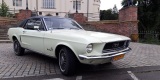 Mustang do ślubu | sam prowadzisz | kremowo-zielony | dużo terminów, Poznań - zdjęcie 5