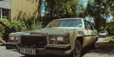 Beżowy Cadillac Fleetwood | Auto do ślubu Bytom, śląskie - zdjęcie 2